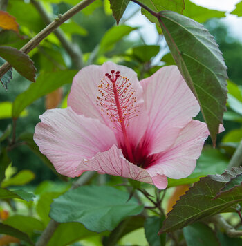 DSC_9411.jpg