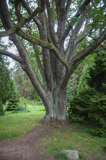 DSC_9376.jpg