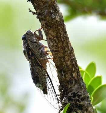 DSC_8623.jpg