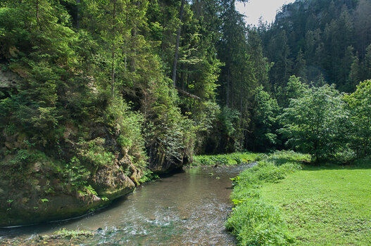 DSC_9472.jpg