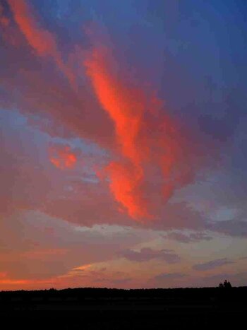 Sunset dark_DSCN0455.jpg
