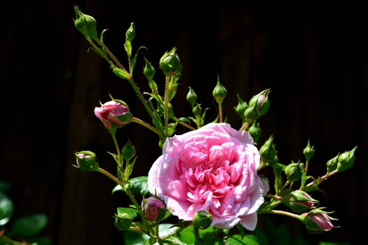 DSC_0006.jpg