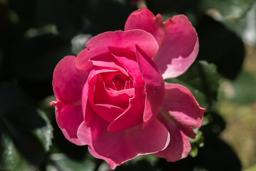 _7503282-Bearbeitet.jpg