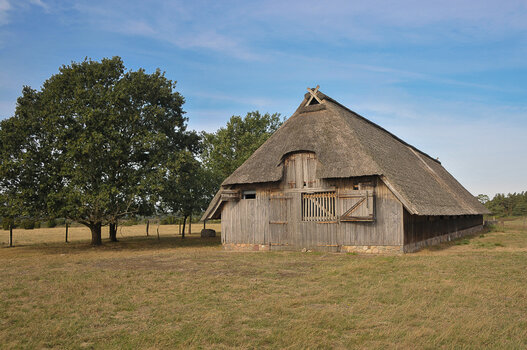 DSC_1777.jpg