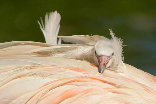 THK_8513-1.jpg