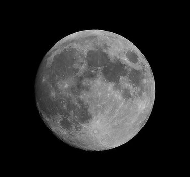 DSC_7096_04072020.jpg