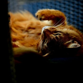 _DSC2496.jpeg