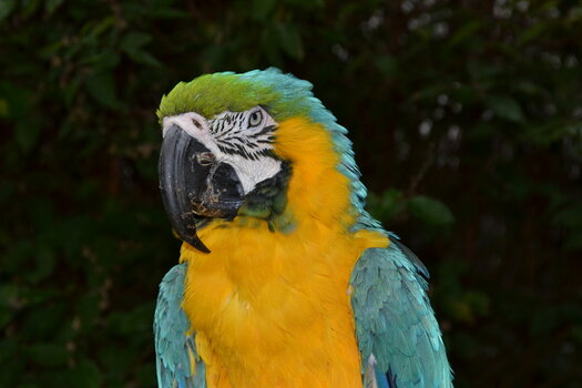 DSC_0651.JPG