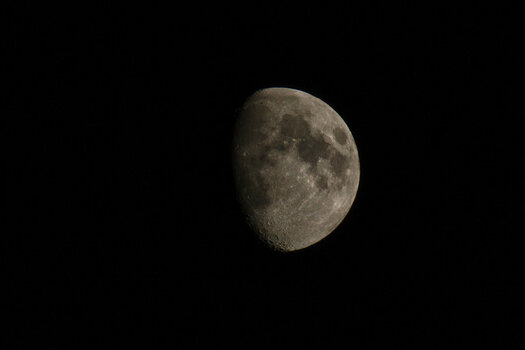DSC_1242.jpg
