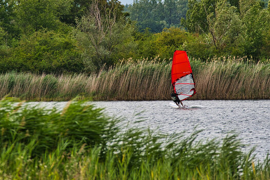 DSC_1409.jpg