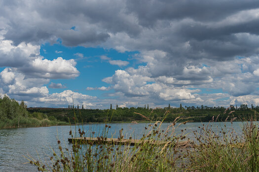 750_3711.jpg