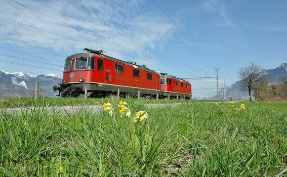 DSC_1987aSt.Triphon.jpg