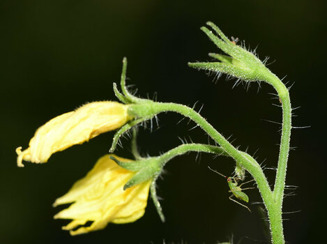 _DSC0078_00001.jpg
