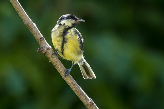 20200723_NZ7_1733NF.jpg