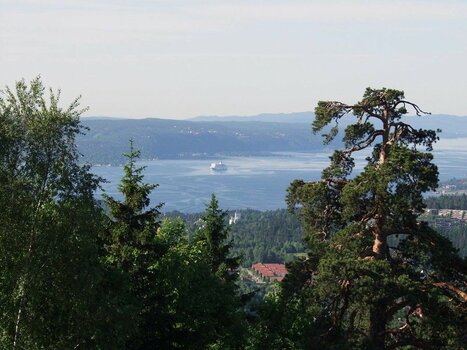 2020-07-24_08-50-59.jpg