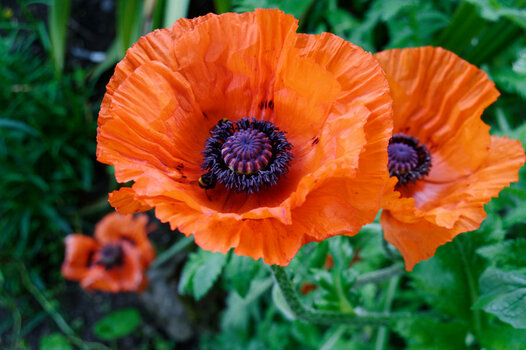 700_5943_DxO.jpg