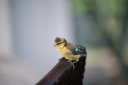 700_4791_DxO.jpg