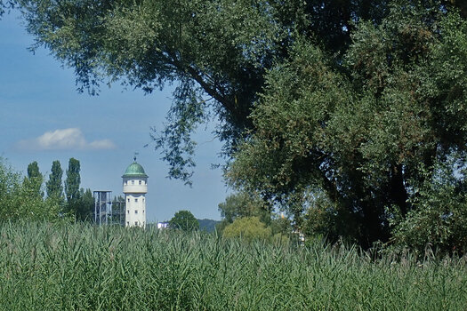 wowaricham200728.jpg