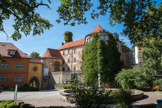 750_4025.jpg