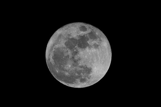 DSC_7857_11.jpg