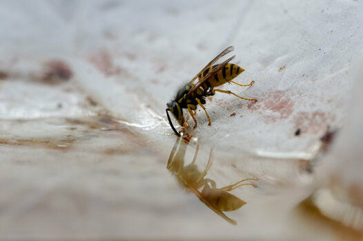 700_6246_DxO.jpg