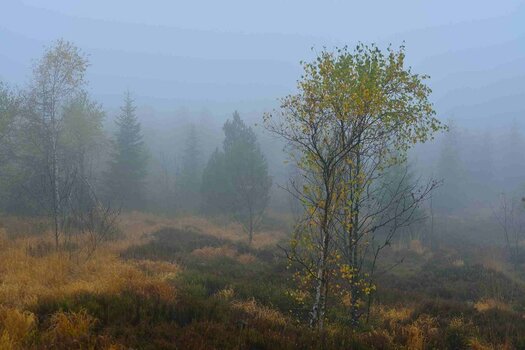 Schliffkopf_DSC_8937.jpg