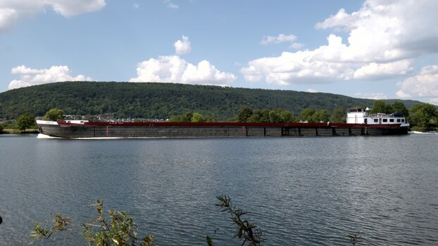 Schiff Marjo R_00001DSC_0573 (2).jpg