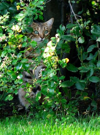 DSC_5248_bk.jpg