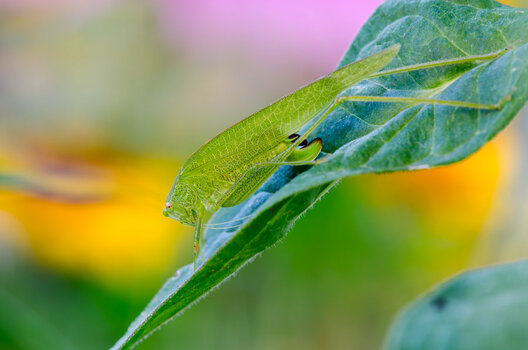 _DSC7764.jpg
