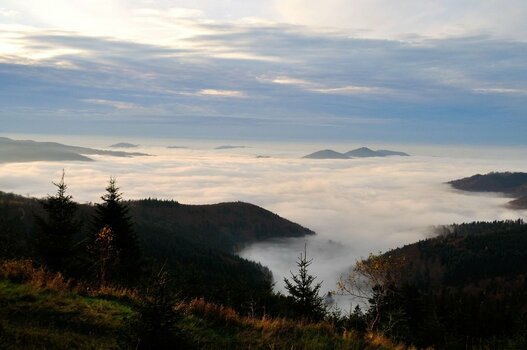 Nebel Kaltenbronn klein_DSC_0819.jpg