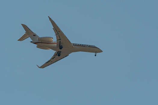 20200811_D500_0828NF.jpg
