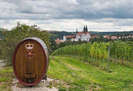 750_4826-Bearbeitet.jpg