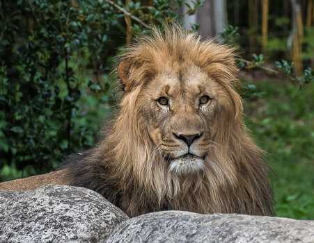 750_5095-Bearbeitet.jpg