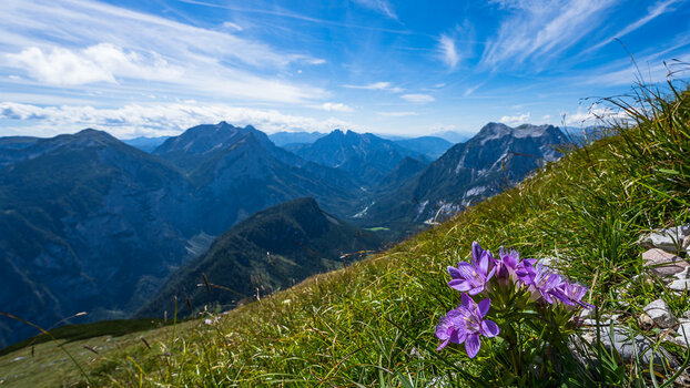 Sommer-Saalfelden-Gesäuse-Gstatterboden-Admont-St. Vigil-0376.jpg
