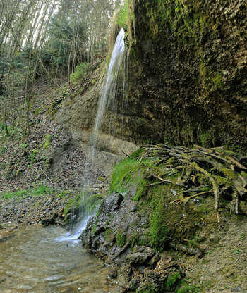 Neues Panorama 2.02.jpg