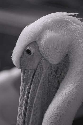D72_1748.jpg
