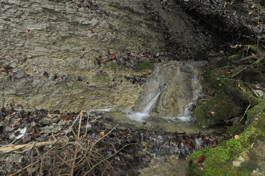 _DSC0376.jpg