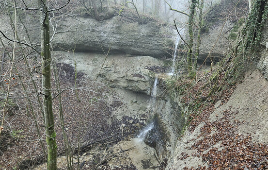 _DSC0468.jpg