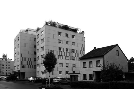 Großer Nachbar.jpg