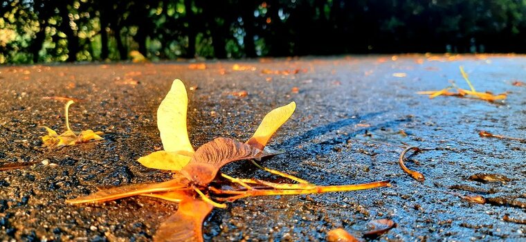 20201006_182948.jpg