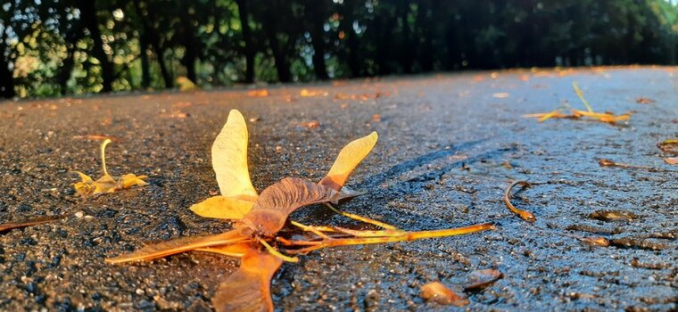 20201006_180849.jpg