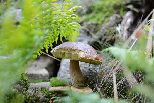 DSC_0157.jpg