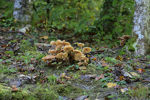 DSC_7897.jpg