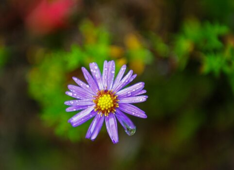 comp_DSC_4584.jpg