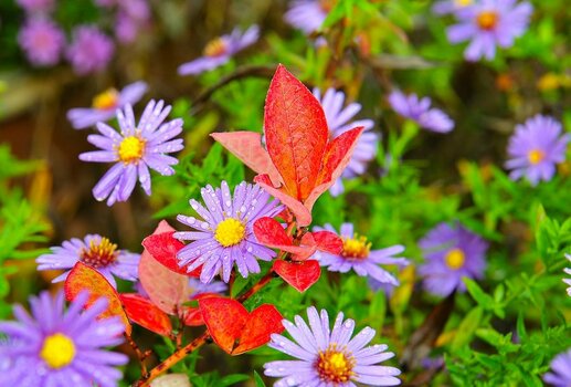 comp_DSC_4579.jpg