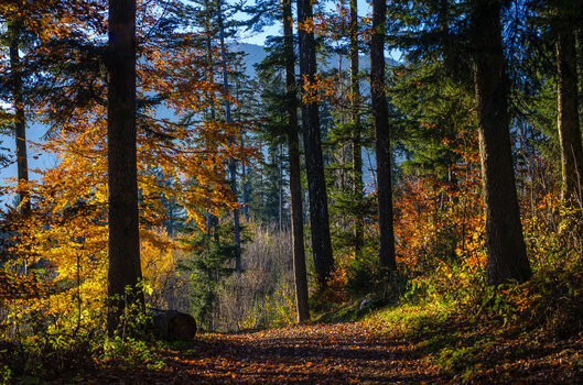 02herbst .jpg