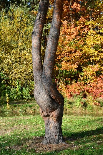 DSC_5583_k.jpg