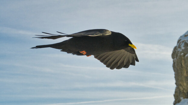 IMG_4774.jpg