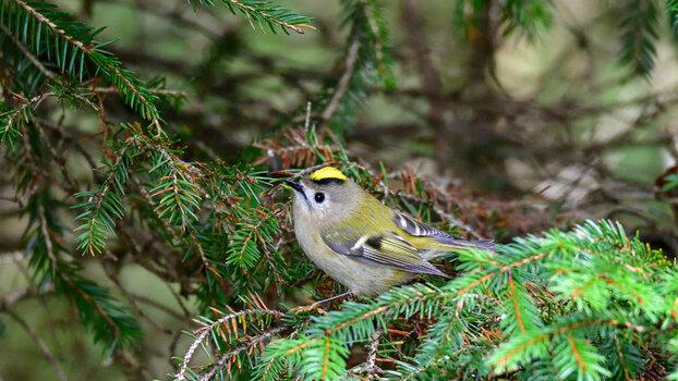 DSC_6224.JPG