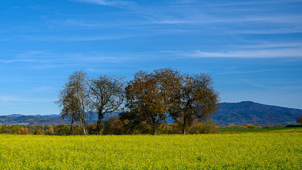 Z7_2470F4-0445.jpg